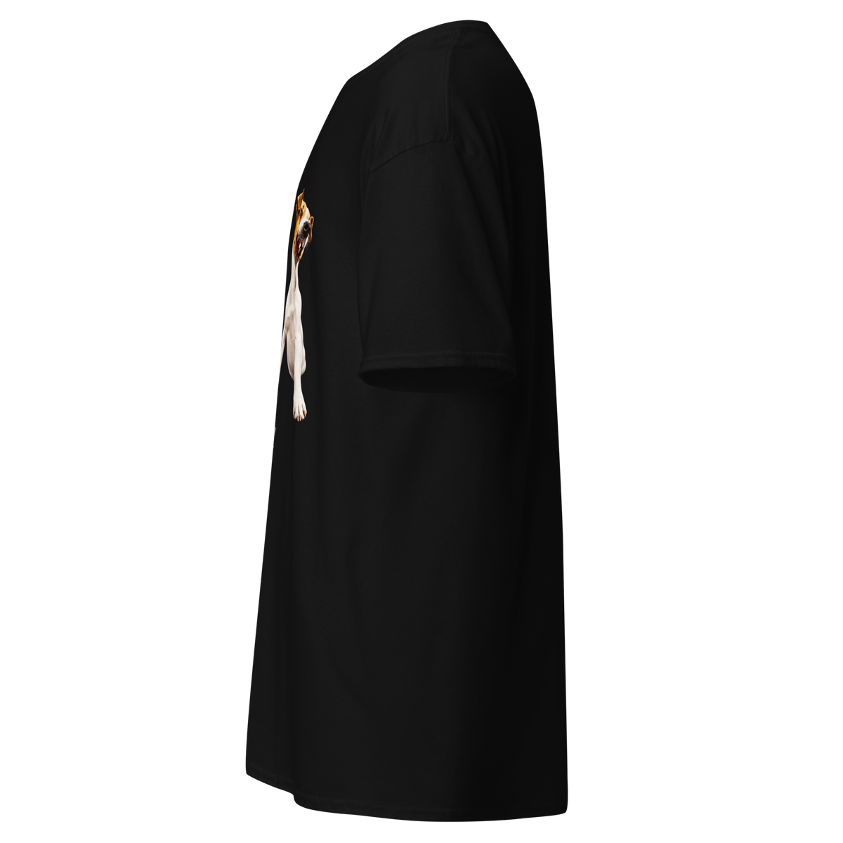 Black t-shirt shown from the side, showing the printed sleeve
